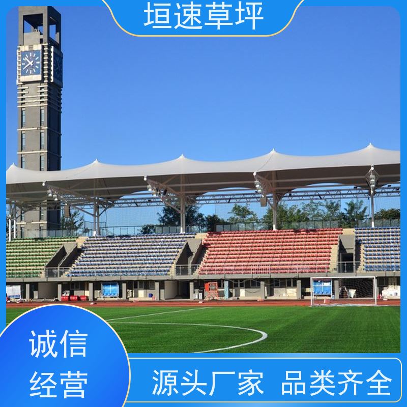 垣速 门球场地设施 塑料仿真草坪 篮球场人造草舒适度好 室外塑料草坪