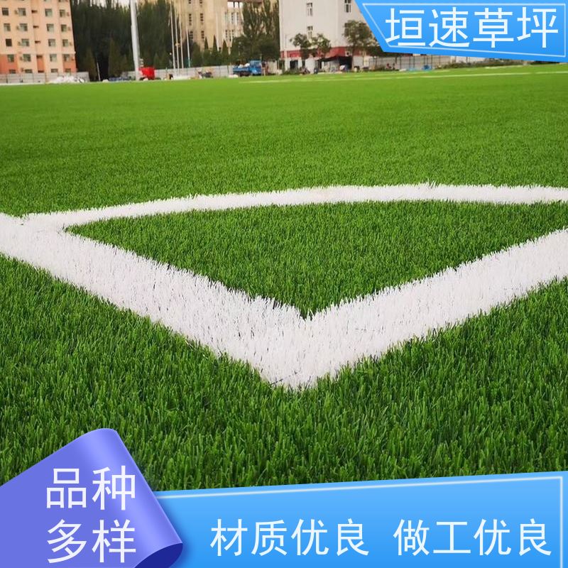 垣速 门球场地设施 户外人工草坪 人造球场草坪弹性防滑 人造草坪地垫