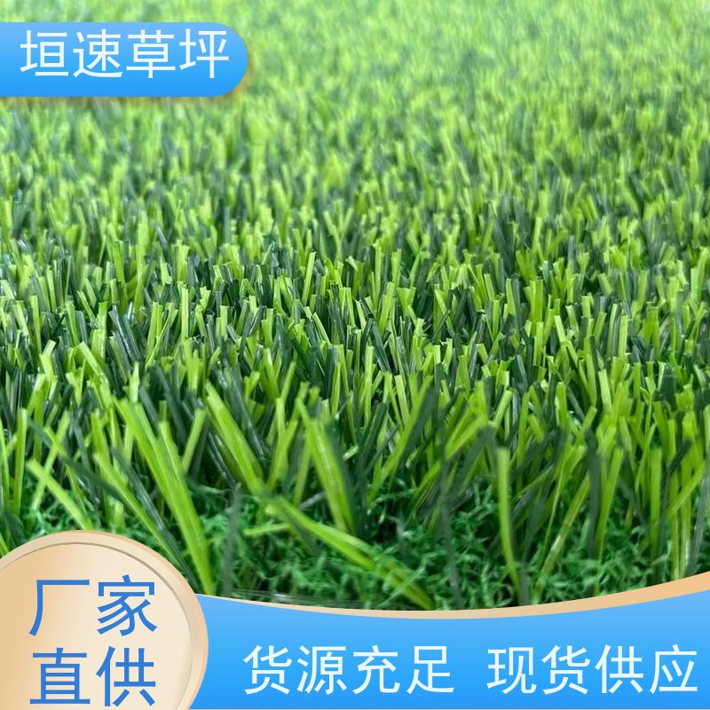 垣速 网球场草坪回弹率好 建造足球场供应商 保温假草坪 人造草坪装饰