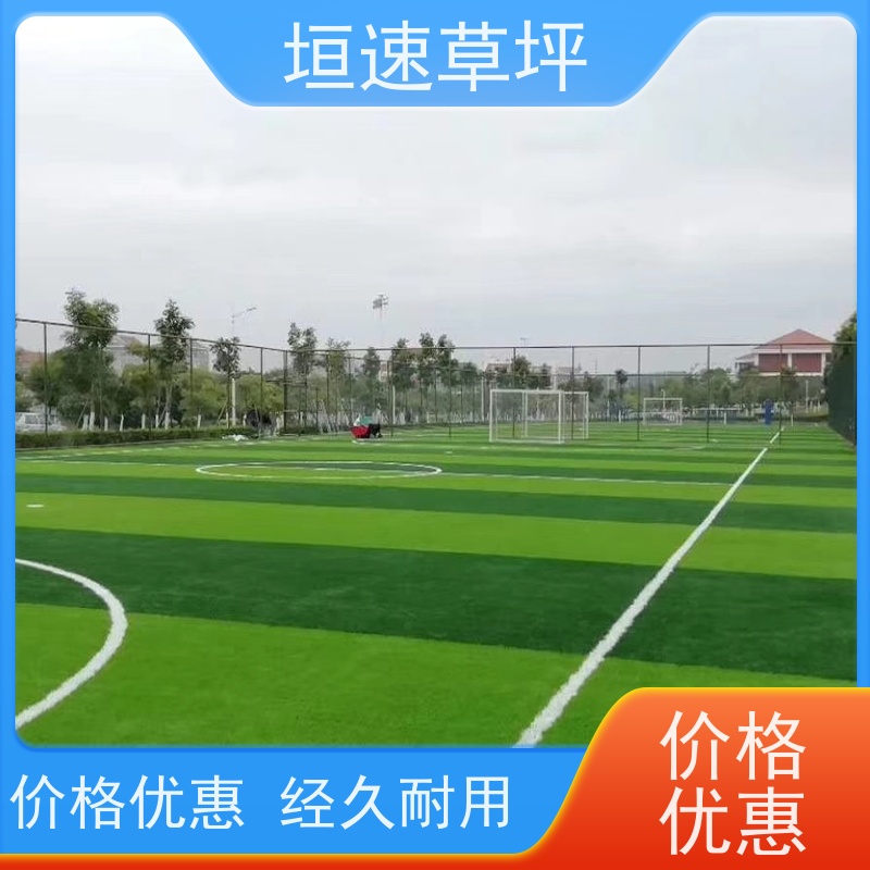 垣速 门球场地设施 人工草坪绿化 隔热塑料草皮 羽毛球场草坪环保耐磨