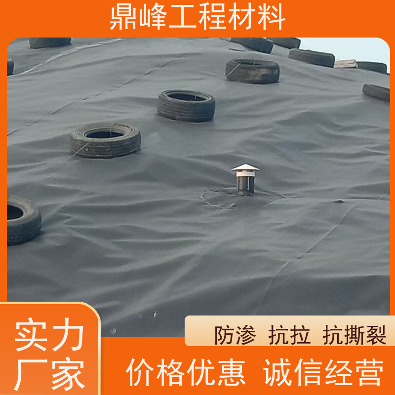 鼎峰 1.0厚光面hdpe土工膜 抗老化 耐腐蚀 适应恶劣环境