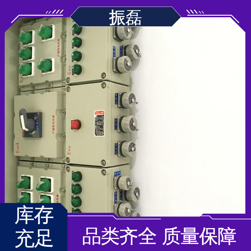 变频器控制柜非标定做 成套不锈钢接线箱 防爆配电箱 振磊