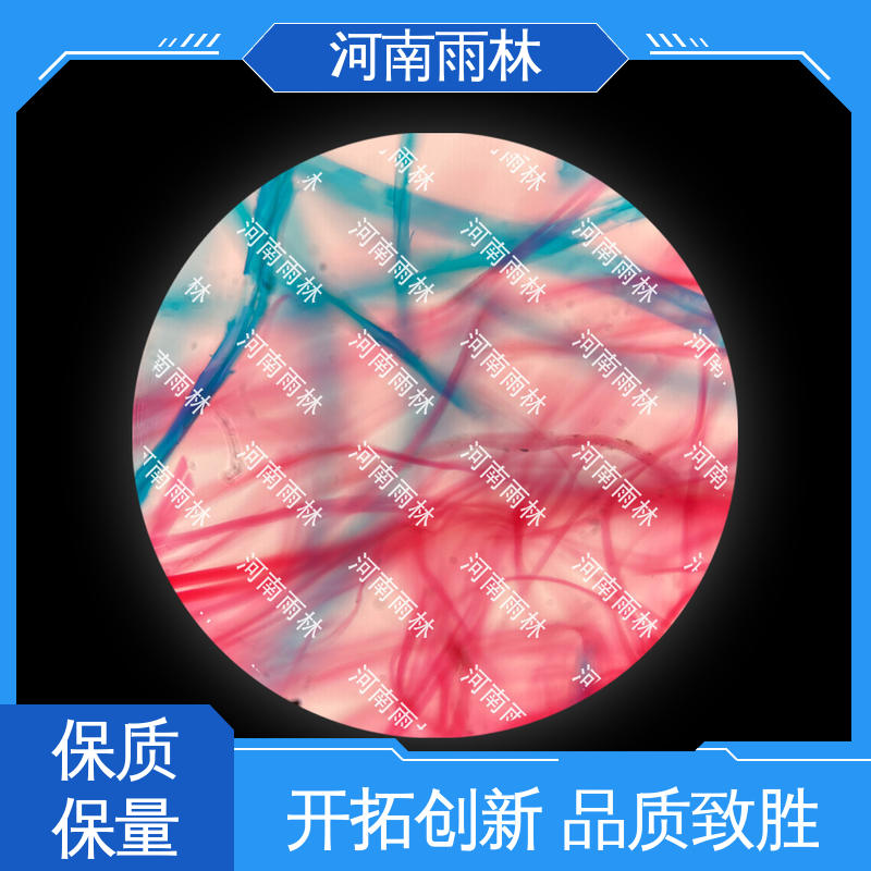 雨林教育 实验标本 品质优良 性价比高 支持定制