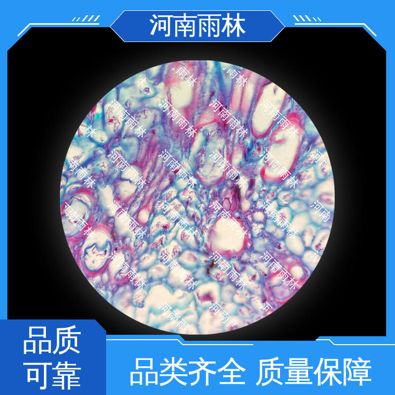 雨林教育工程 植物标本 质量保障 可后期加工 专业