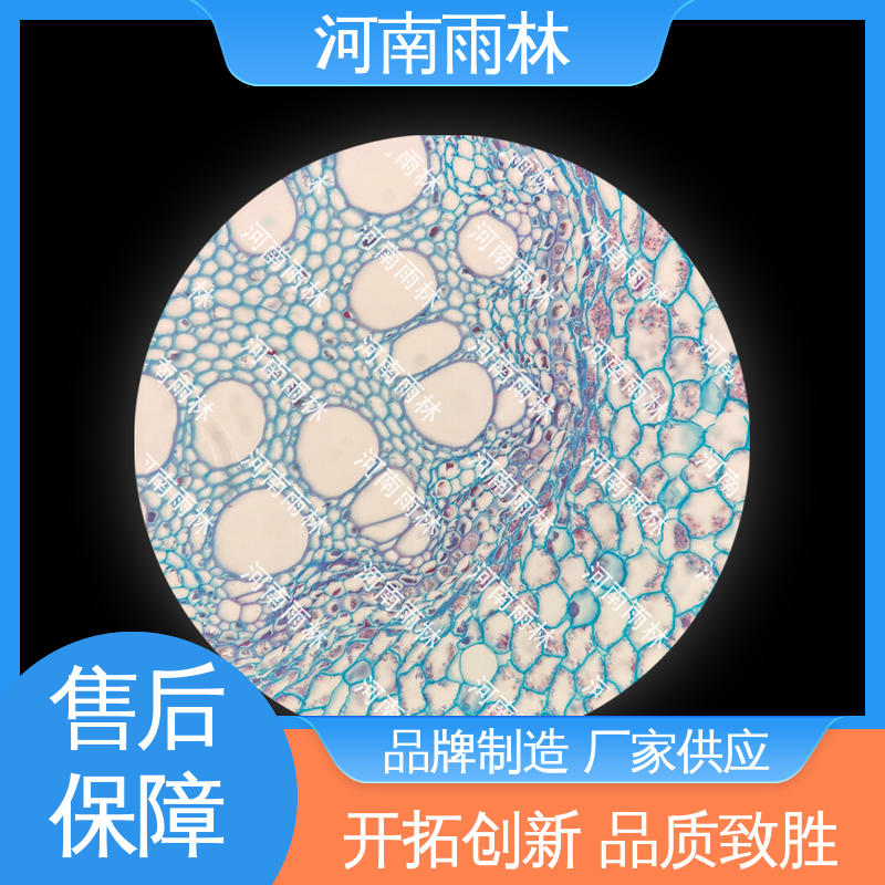 专业 实验标本 性价比高 品质优良 雨林教育工程