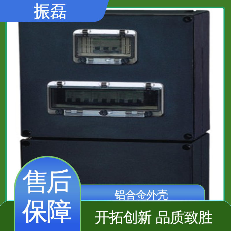 振磊 BXM(D)8050 变频器控制柜非标定做 防爆配电箱