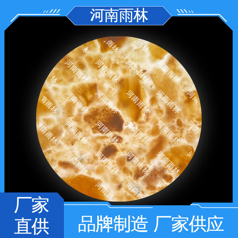 雨林教育工程 支持定制 细胞清晰 质量优 实验标本