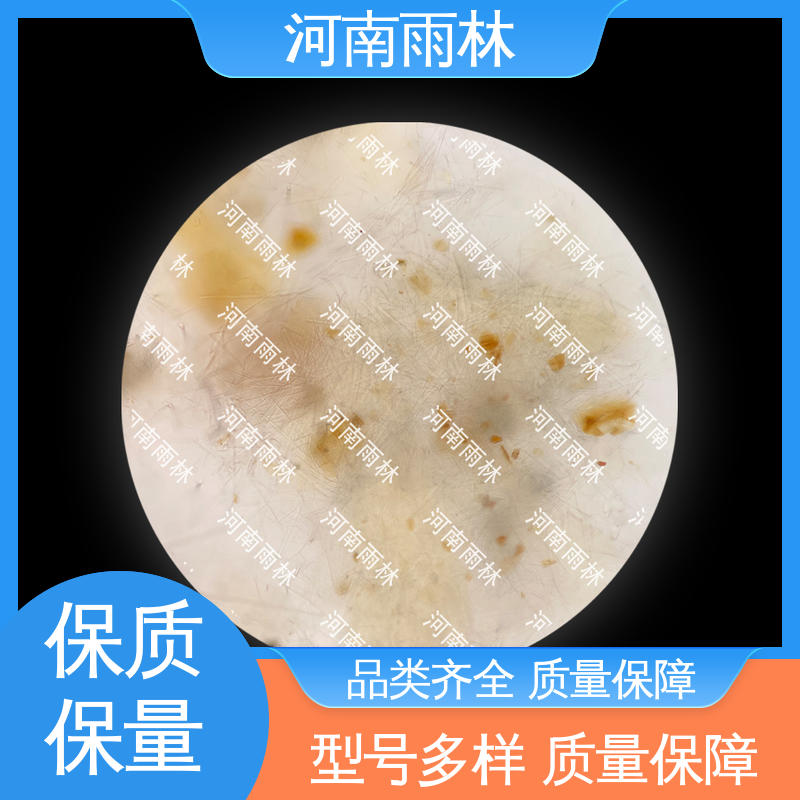 雨林教育工程 病害标本 个性化定做 细胞清晰 可后期加工