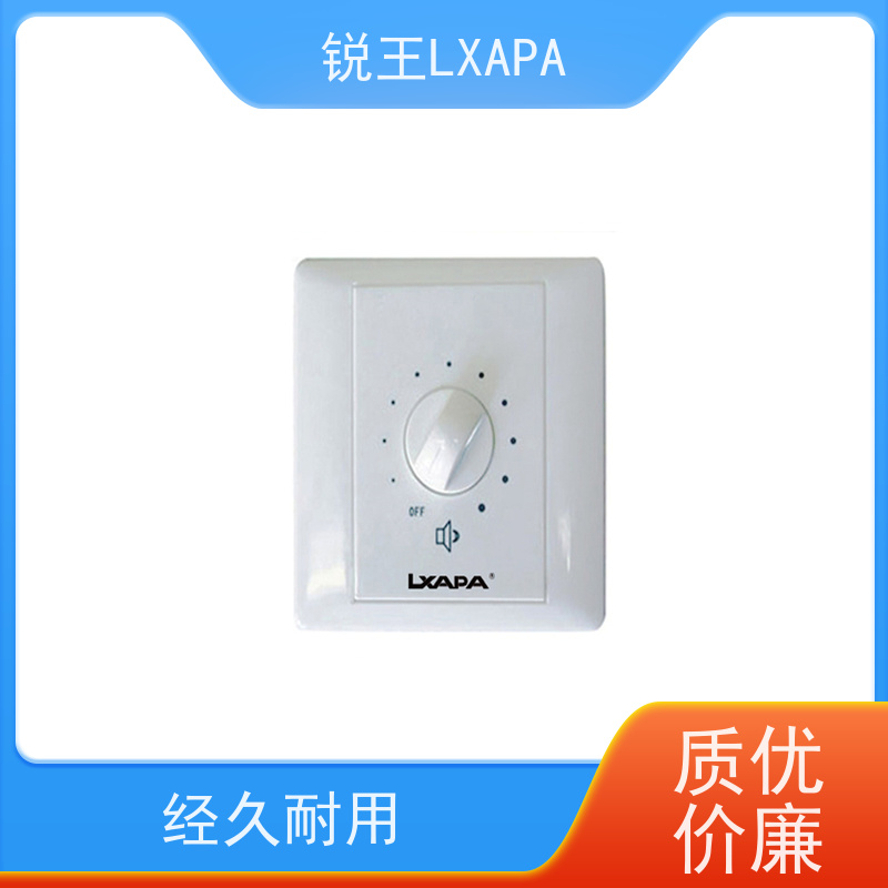 锐王LXAPA 草坪音箱 背景音乐扩声系统设备 农村喇叭