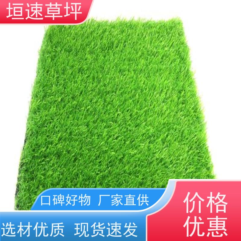 垣速 人造草坪隔热 门球场地设施 景观塑料草坪 学校球场草坪舒适度好