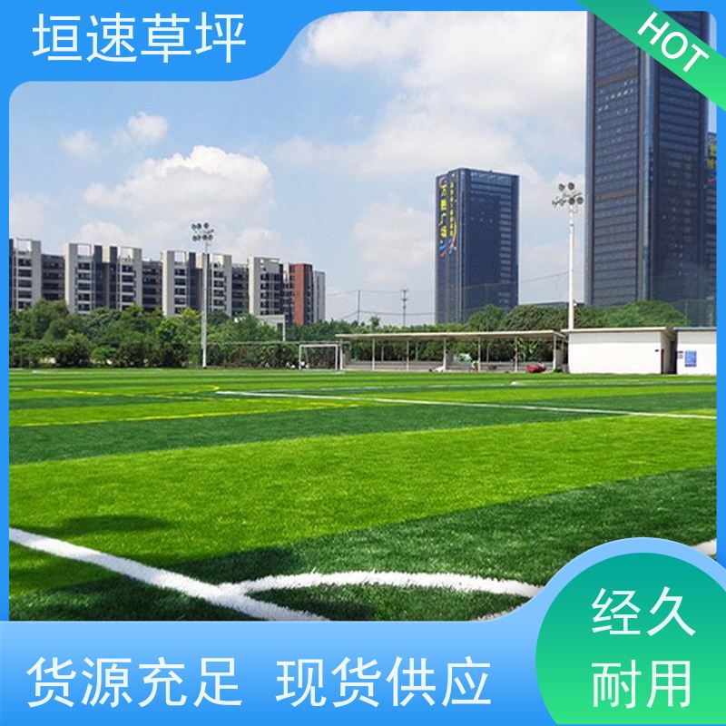 垣速 景观假草皮 门球场地设施 隔热塑料草皮 门球场塑胶草坪弹性防滑