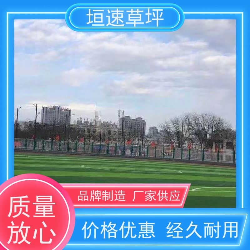 垣速 门球场草坪色彩丰富 绿化假草皮 足球场承建哪家好 屋面绿化草坪