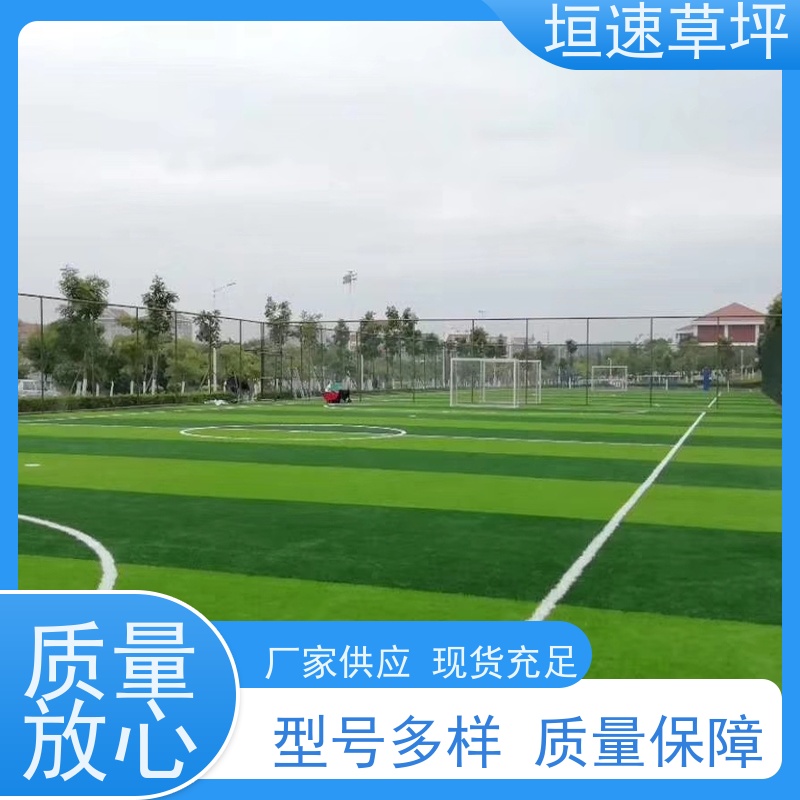 垣速 建造足球场供应商 户外人工草坪 门球场草坪色彩丰富 保温假草坪