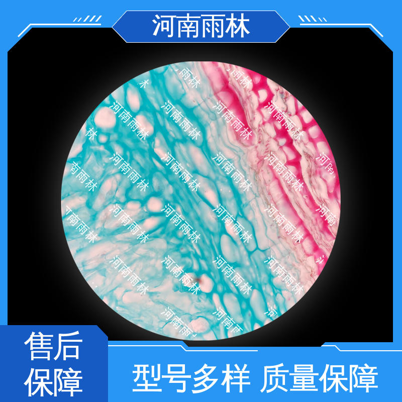 切片安全 病害标本 专业 可提供材料 雨林教育工程