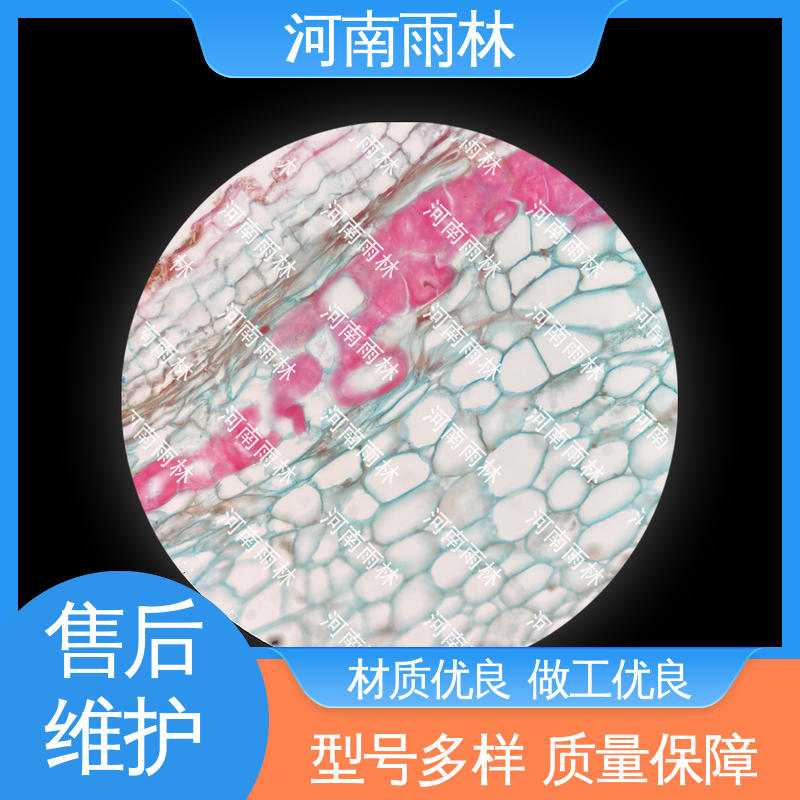 质量保障 性价比高 实验切片 支持定制 雨林教育