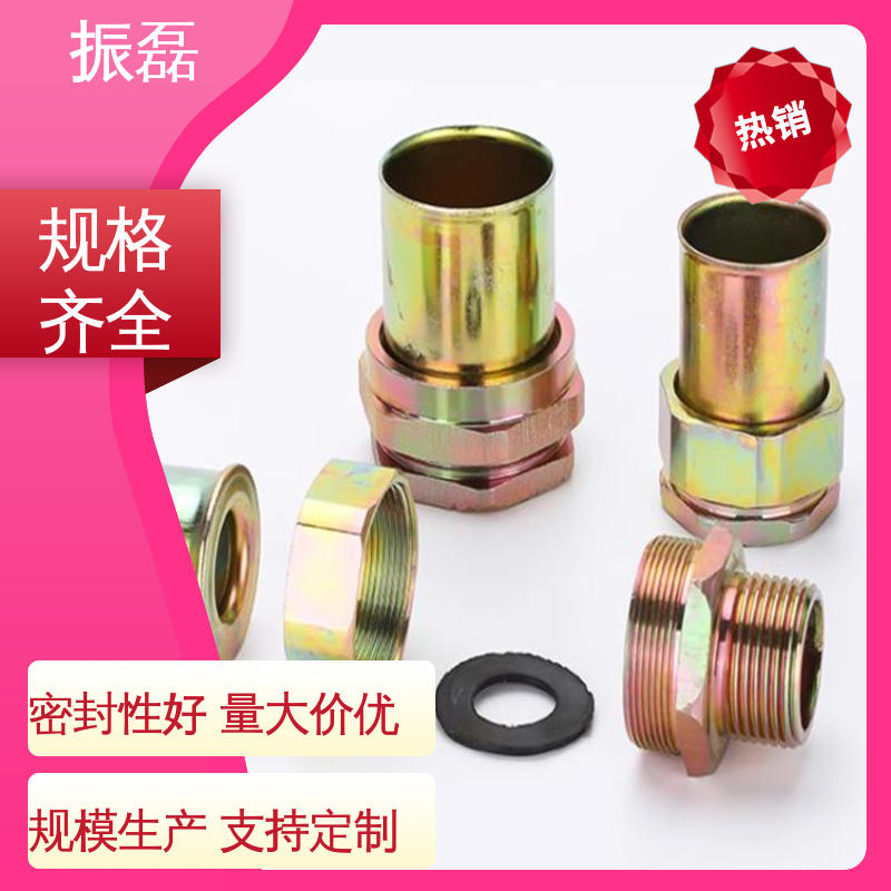 振磊 一寸内外螺纹 不锈钢防爆对丝 管件连接用