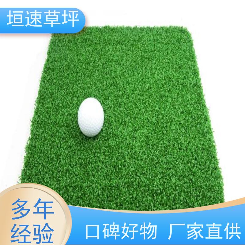 垣速 网球场仿真草坪新国标 景观假草皮 门球场地设施 景观塑料草坪