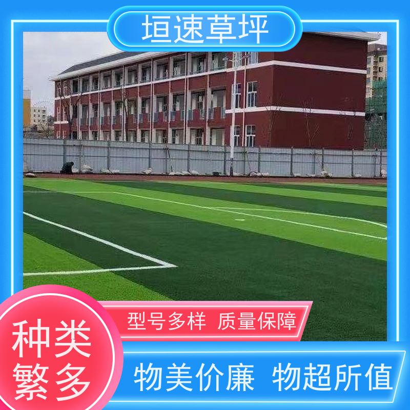 垣速 橄榄球仿真草坪新国标 人造草坪装饰 门球场地设施 仿真草坪保温