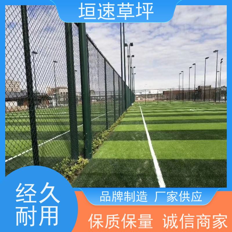 垣速 足球场假草皮弹性防滑 景观假草皮 人造草坪哪里有售 保温假草坪