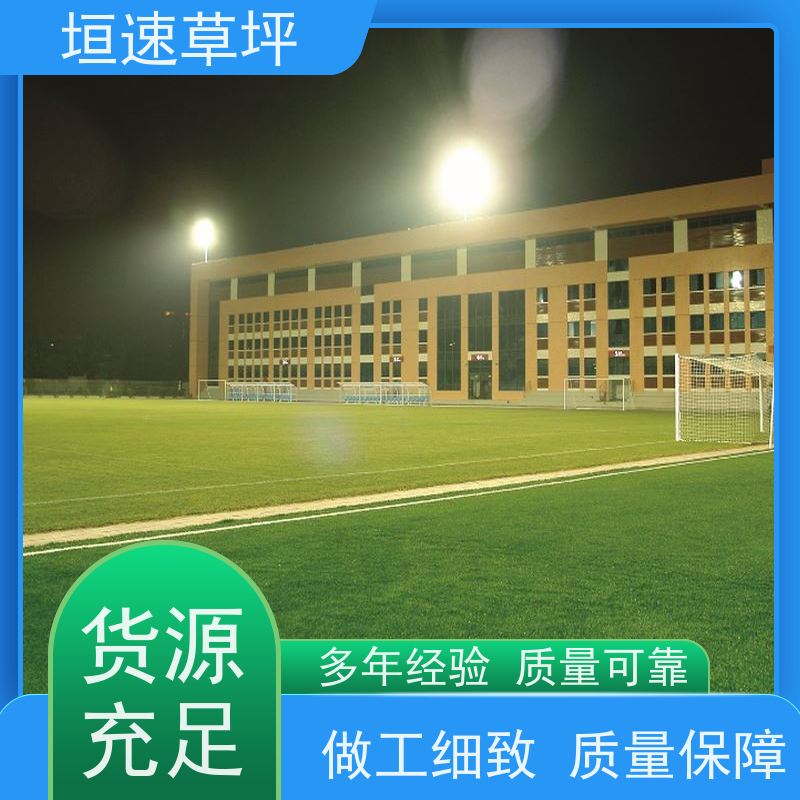 垣速 门球场地设施 人工塑料草坪 足球场假草皮弹性防滑 绿化隔热草皮