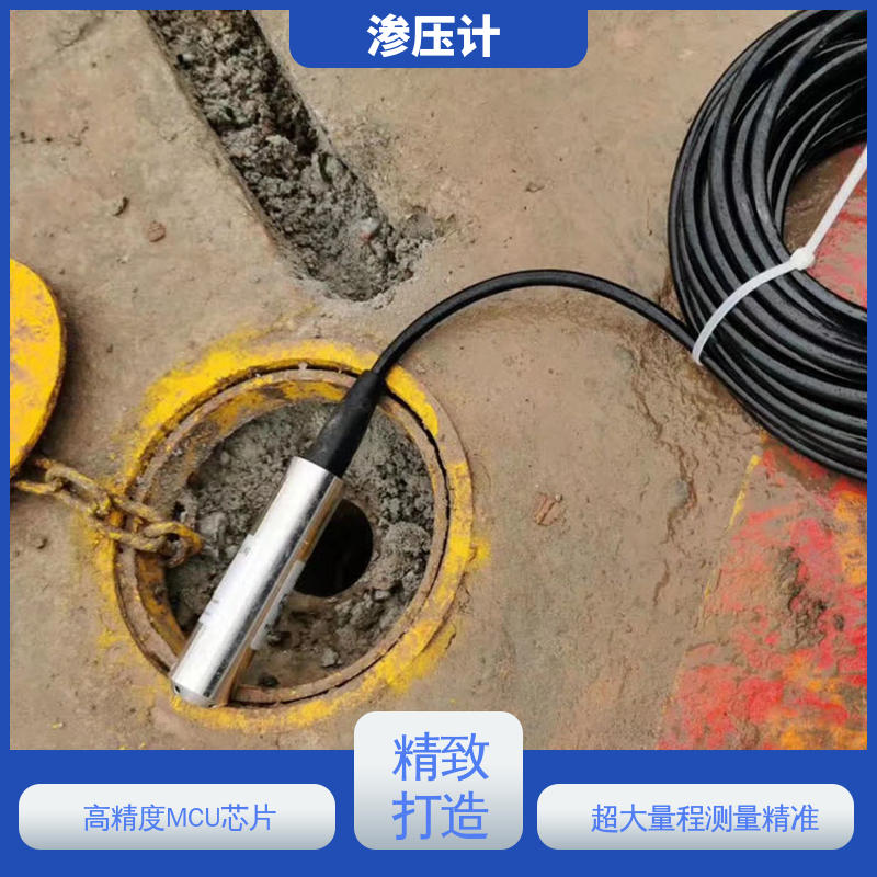 自动化实时监测 土壤土体水压力 硅压阻式渗压计 地基基础