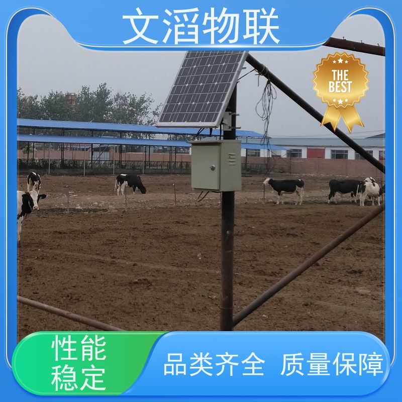 文滔物联 猪B超 项圈GPS定位发情监测 源头厂家 