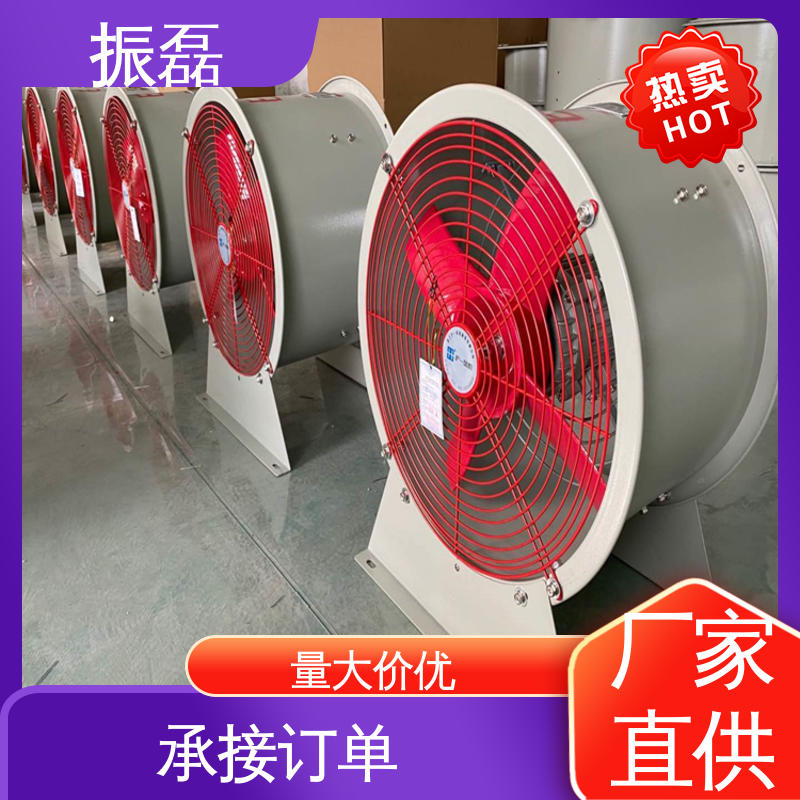 振磊 上门服务 220V 防爆手提轴流风机BSFT-300
