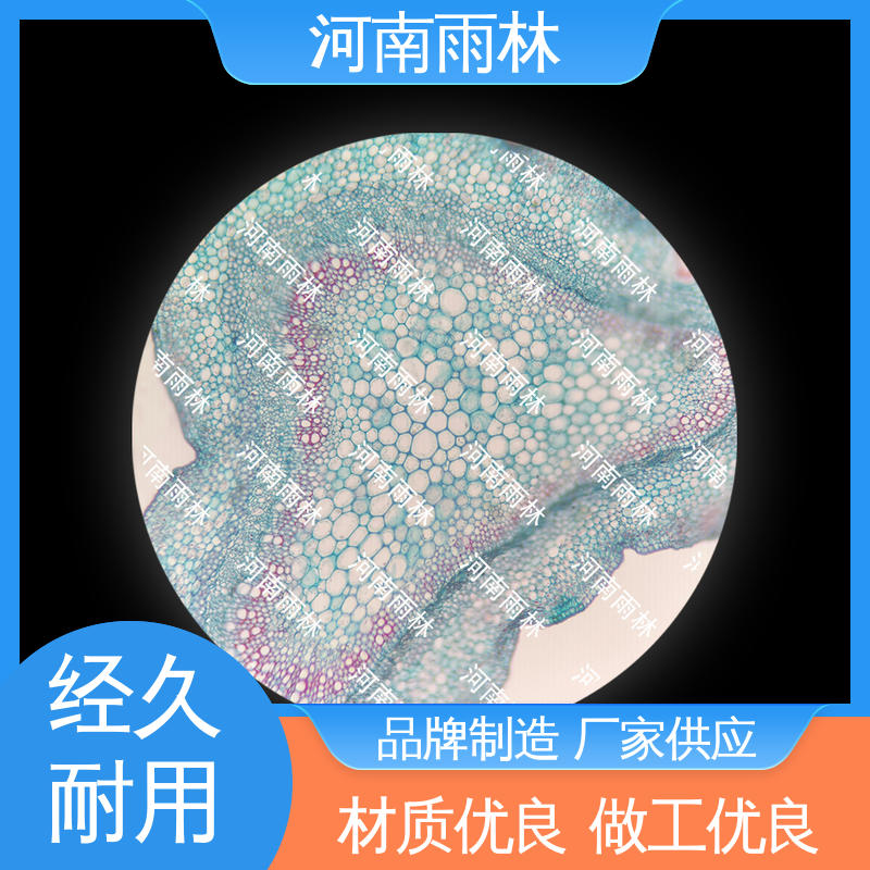 雨林教育工程 可提供材料 厂家销售 实验标本 切片安全