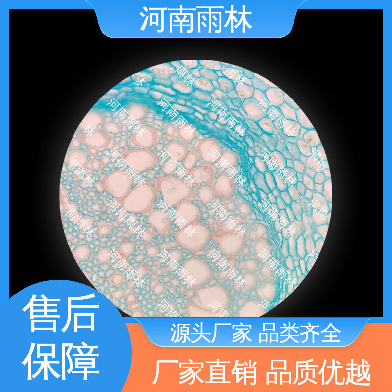 实验切片 个性化定做 性价比高 颜色鲜亮 雨林教育