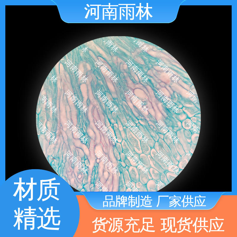 颜色鲜亮 病害标本 个性化定做 可后期加工 雨林教育工程