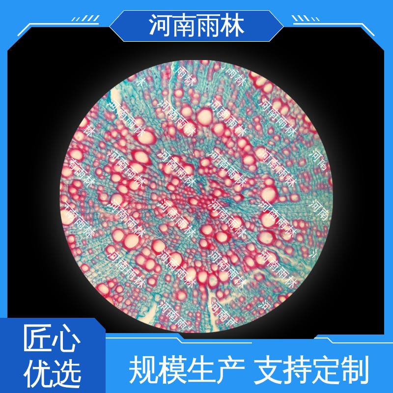 雨林教育工程 教学切片 可提供材料 源头工厂 颜色鲜亮