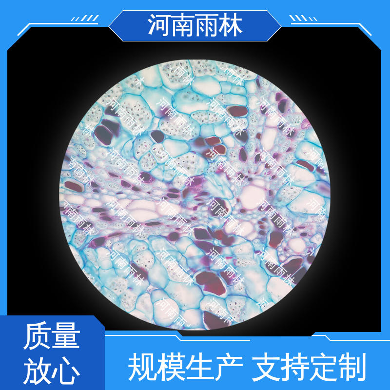 一对一质检 实验标本 专业 售后无忧 雨林教育工程