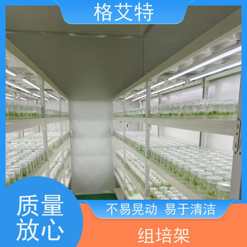 格艾特 食用菌组培架 温度和湿度控制 实力厂家