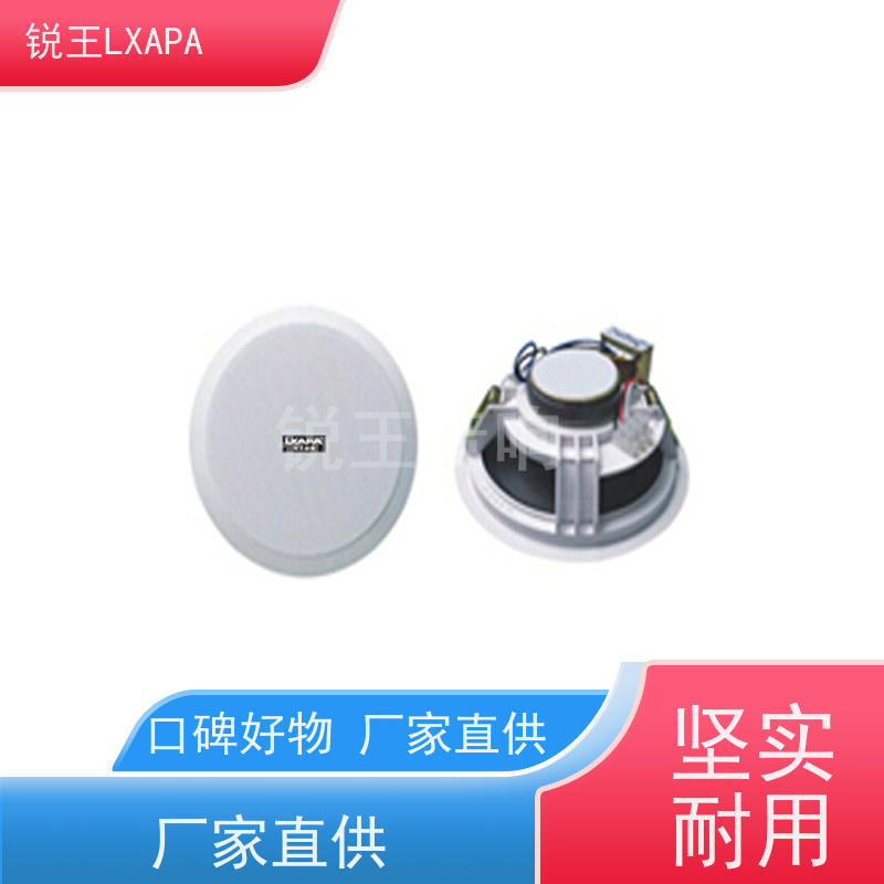 锐王LXAPA 草地喇叭 店铺背景音乐广播系统设备 铝合金全天候音柱