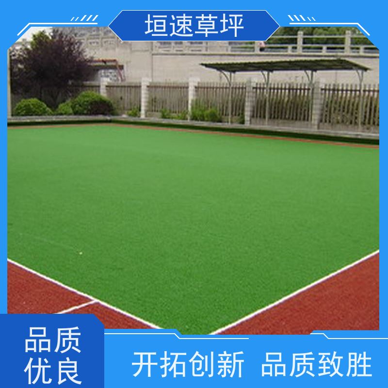 垣速 门球场地设施 人造草坪隔热 绿化隔热草皮 网球场仿真草坪新国标
