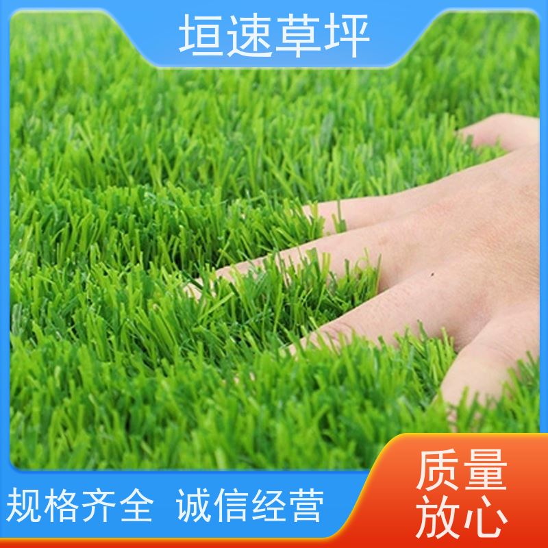 垣速 人工假草皮 门球场地设施 隔热塑料草皮 门球场塑胶草坪弹性防滑