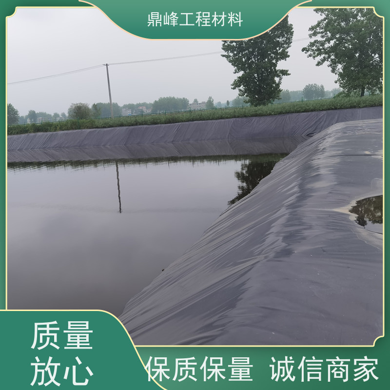 鼎峰 土工膜糙面 耐热性良好 阻隔盐碱保护农作物