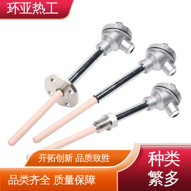 生产厂家 工业盐浴炉 高温S型B型R型铂铑热电偶 活动法兰式 环亚