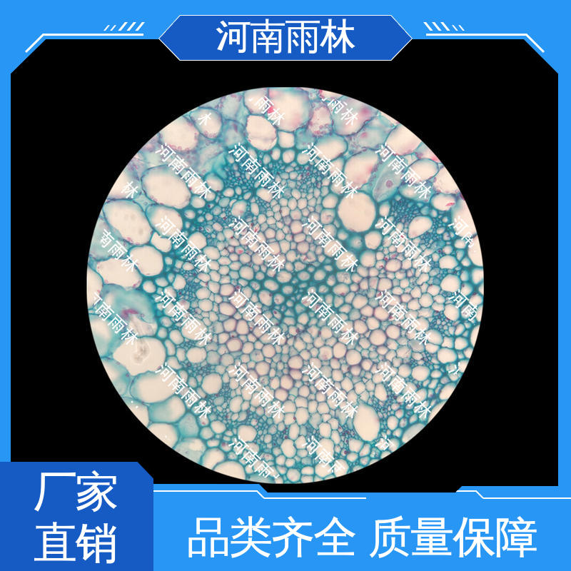 雨林教育工程 个性化定做 教学切片 性价比高 颜色鲜亮