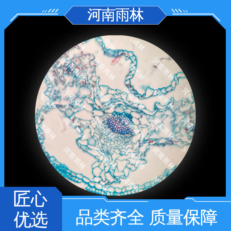 雨林 一对一质检 支持定制 可提供材料 高等教育