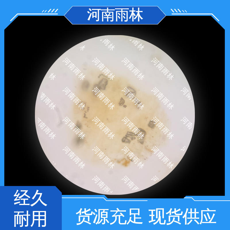 雨林教育 支持定制 可提供材料 切片安全 病害标本