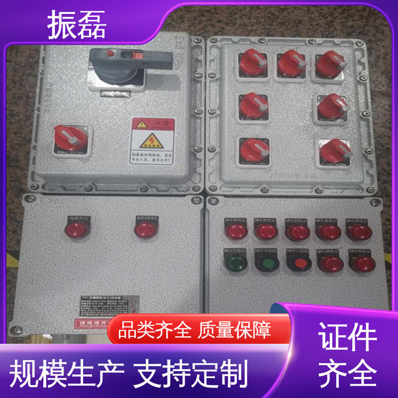 振磊 KAKY矿用控制柜IP54 非标检修箱 防爆配电箱