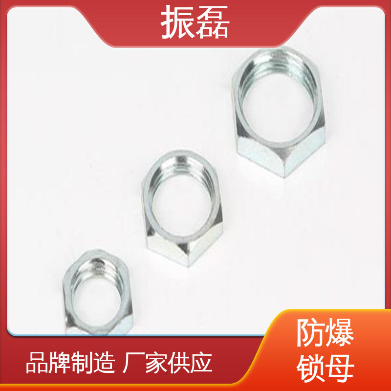 振磊 304 碳钢格兰头 各种规格定制 G3/4六角根母DN20锁片