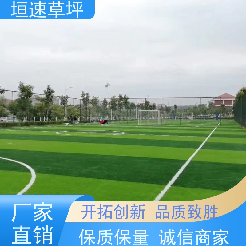 垣速 人造球场草坪弹性防滑 门球场地设施 隔热塑料草皮 仿真地毯草坪