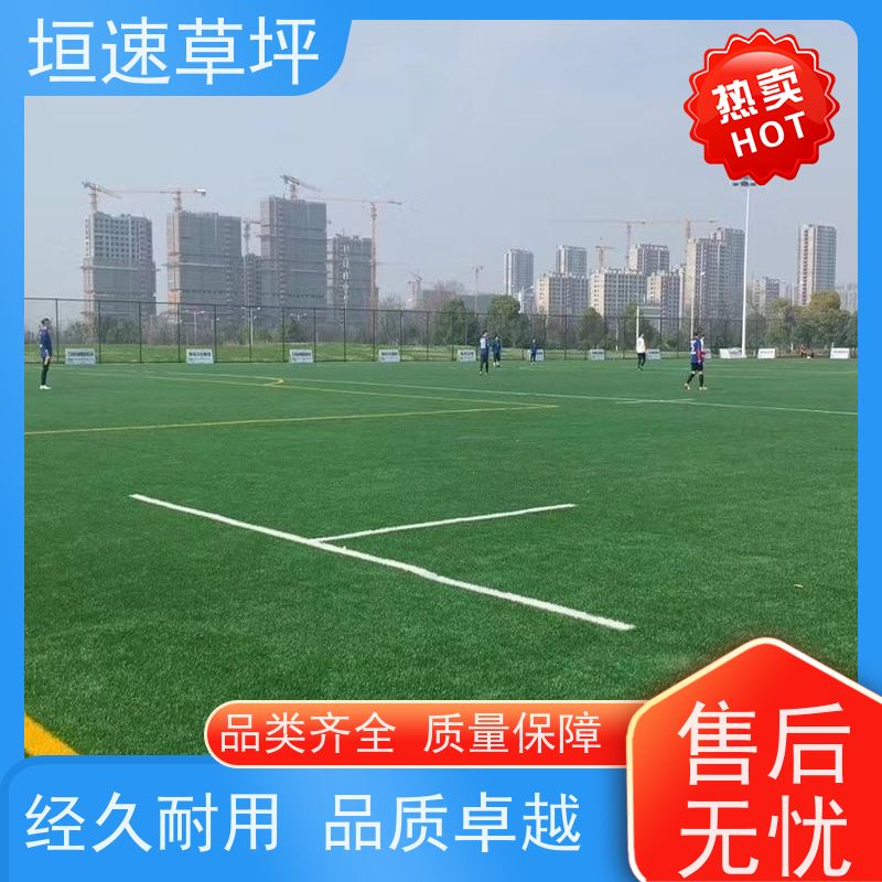 垣速 门球场地设施 绿化假草皮 高尔夫球场草皮不易老化 加密人造草坪
