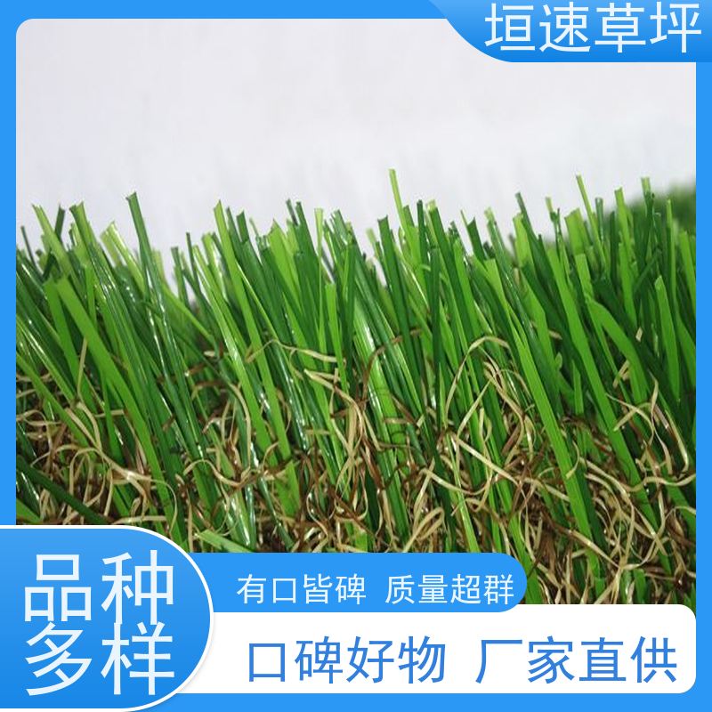 垣速 景观假草皮 门球场地设施 屋面绿化草坪 网球场草坪回弹率好