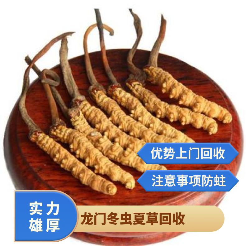 龙门散装礼盒装 长期 炖肉 防蛀 棕黄色 冷藏 克 冬虫夏草回收