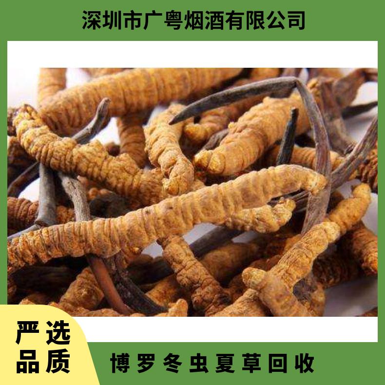 博 罗冬虫夏草回收 防蛀 两10000 克 长期 散装礼盒装 冷藏 炖肉 棕黄