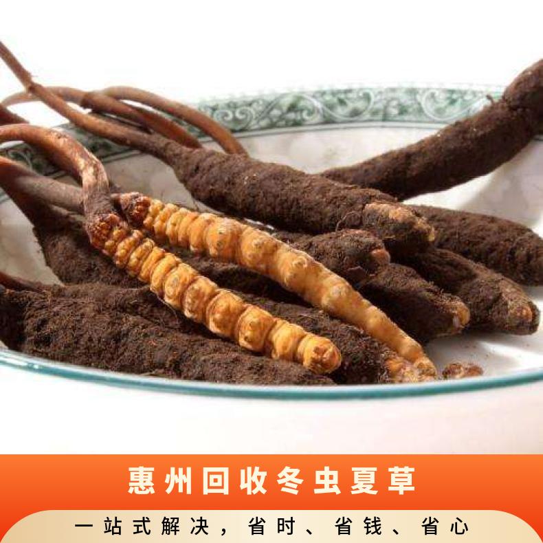惠 州实体档口回收冬虫夏草 公斤 防潮 虫草礼盒 橡胶 4条/克 长期