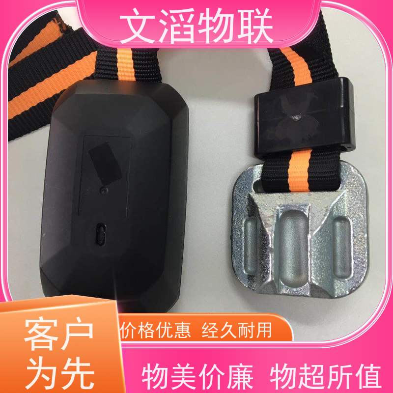 文滔物联 畜牧B超 Lora通讯 计步器 好品质有保障 